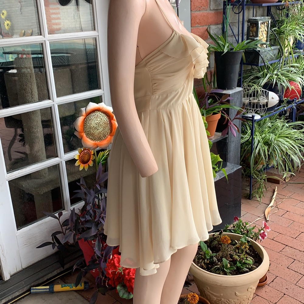 Beautiful Cream Ruffle Dress - Picture 3 of 9